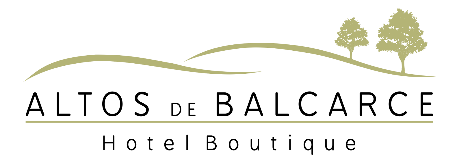 2024-LOGO-centro
